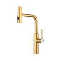 Смеситель для кухни, выдвижной излив, нерж. сталь VALFEX Apollion Steel Gold (10)